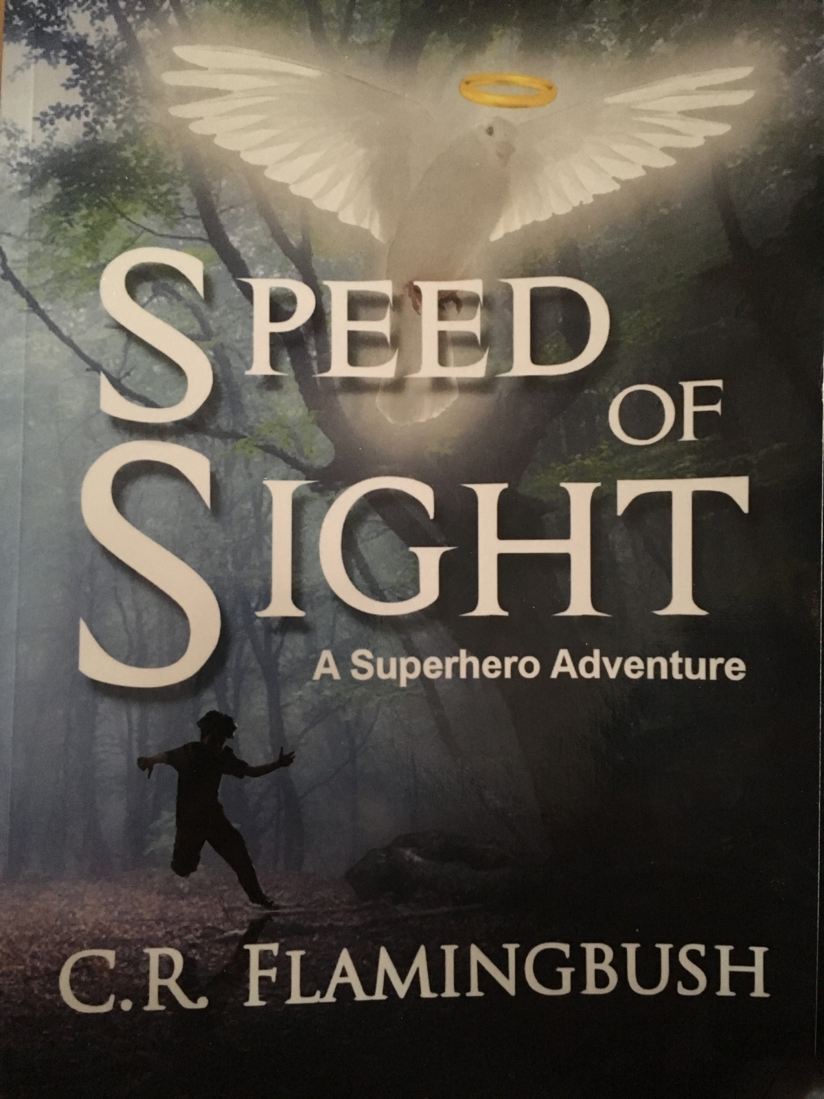 Speed of Sight Book Release
